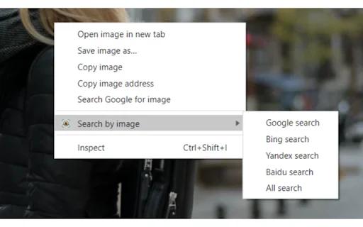 Reverse Image Search ডাউনলোড করুন – গুগল, বিং, ইয়ানডেক্স ও বাইডু - Screenshot 1
