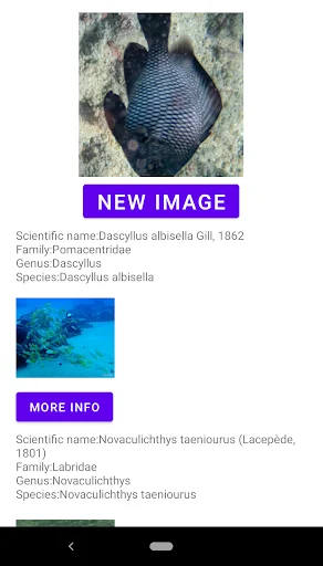 Fish Identifier অ্যাপ ডাউনলোড করুন – মাছের নাম ও তথ্য জানুন - Screenshot 13