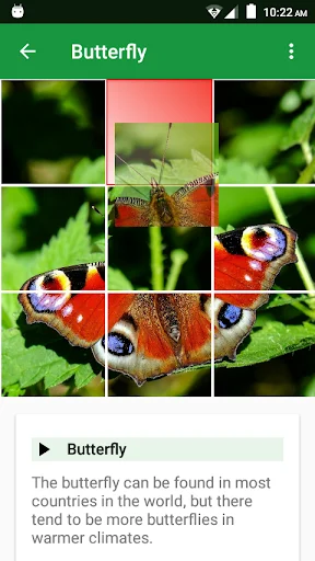 Wild Animals Puzzle ডাউনলোড করুন – বন্যপ্রাণীর মজার পাজল গেম - Screenshot 2