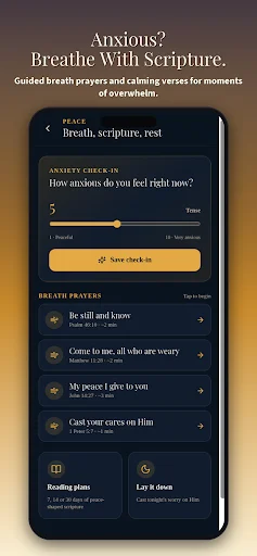 FaithFlow: Daily Walk With God – অফলাইন বাইবেল ও প্রার্থনা অ্যাপ - Screenshot 5