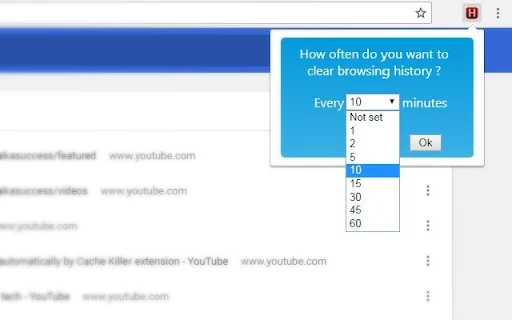 Chrome History Cleaner ডাউনলোড করুন – স্বয়ংক্রিয় ব্রাউজিং হিস্ট্রি ক্লিনার - Screenshot 2