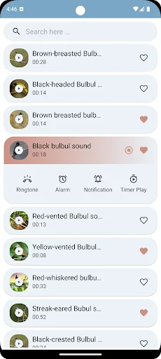 Bulbul Bird Sounds ডাউনলোড করুন – সেরা পাখির ডাক ও রিংটোন - Screenshot 5