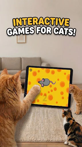 Games for Cats ডাউনলোড করুন – আপনার বিড়ালের জন্য সেরা গেম - Screenshot 11