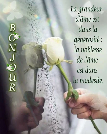 Bonjour Wallpaper ডাউনলোড করুন – প্রতিদিন নতুন এইচডি ওয়ালপেপার - Screenshot 7