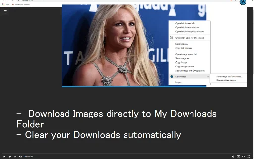 Downloads এক্সটেনশন ডাউনলোড করুন – সেরা ডাউনলোড ম্যানেজার - Screenshot 1