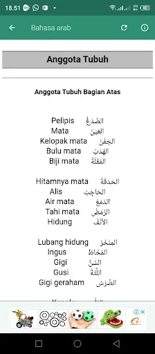 Percakapan Bahasa Arab ডাউনলোড করুন – সেরা আরবি কথোপকথন শিখুন - Screenshot 14