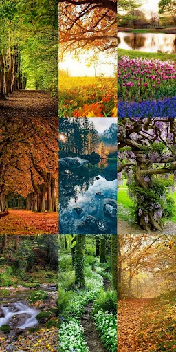 Nature Escape HD Wallpapers ডাউনলোড করুন – সেরা প্রাকৃতিক দৃশ্য - Screenshot 15