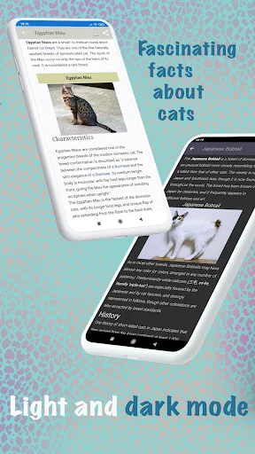 Cat breeds – Smart Identifier ডাউনলোড করুন – সেরা বিড়াল শনাক্তকারী অ্যাপ - Screenshot 5