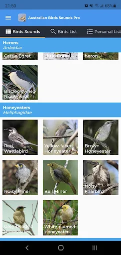 Australian Birds Sounds Pro ডাউনলোড করুন – পাখির ডাক ও গান - Screenshot 2