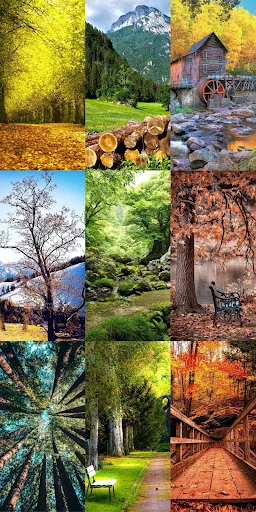 Nature Escape HD Wallpapers ডাউনলোড করুন – সেরা প্রাকৃতিক দৃশ্য - Screenshot 14