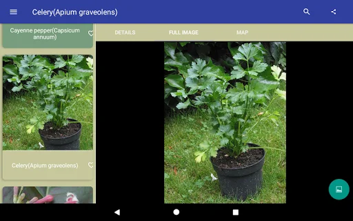 Herbal Remedies ডাউনলোড করুন – ভেষজ উদ্ভিদ ও গুণাগুণ জানুন - Screenshot 5