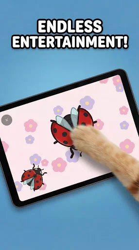 Games for Cats ডাউনলোড করুন – আপনার বিড়ালের জন্য সেরা গেম - Screenshot 14