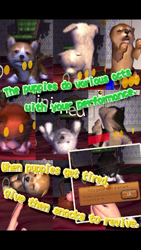 Animal Dance puppies ডাউনলোড করুন – মিউজিক ও ভার্চুয়াল পেট গেম - Screenshot 19
