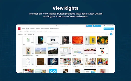 Bynder Connector for Brand Vision-Rights Cloud ডাউনলোড করুন - Screenshot 1