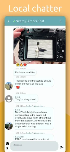 BirdingApp ডাউনলোড করুন – দুর্লভ পাখির আপডেট ও বার্ডারদের সাথে সংযোগ - Screenshot 8