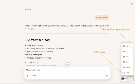 Microsoft Copilot to PDF ডাউনলোড করুন – চ্যাট এক্সপোর্ট করুন সহজে - Screenshot 2