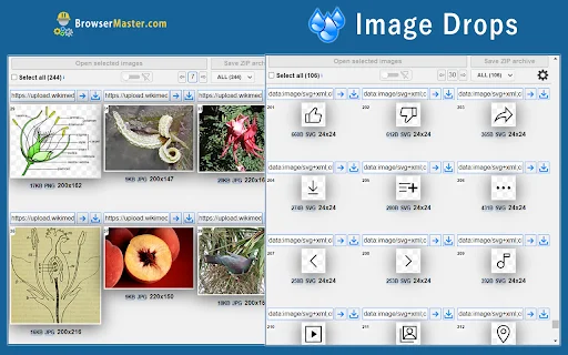 Image Drops ডাউনলোড করুন – সেরা ওয়েব ইমেজ ভিউয়ার ও ডাউনলোডার - Screenshot 2