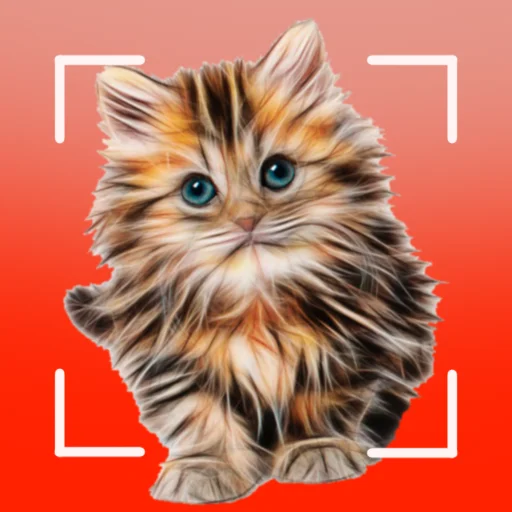 Cat breeds – Smart Identifier ডাউনলোড করুন – সেরা বিড়াল শনাক্তকারী অ্যাপ