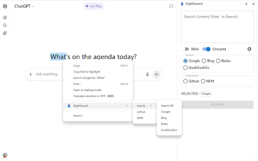 RightSearch ডাউনলোড করুন – ব্রাউজারে কাস্টম রাইট ক্লিক সার্চ টুল - Screenshot 1