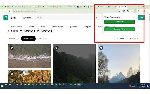 Bulk Video Downloader ডাউনলোড করুন – দ্রুত ভিডিও ডাউনলোড টুল - Screenshot 2